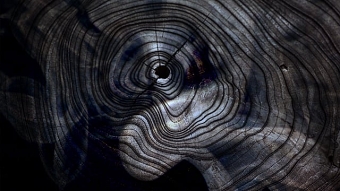 Al Jazeera - Scent from Heaven TV Title Sequence