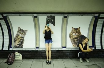 The Citizens Advertising Takeover Service