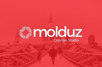 Molduz Creative Studio Branding