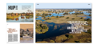 Editorial Design