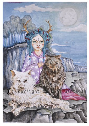 Illustrations