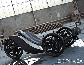 OOPHAGA