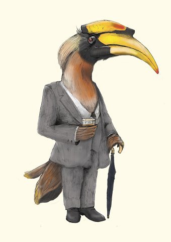Brandy Birds Club
