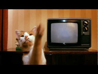 Top CAT