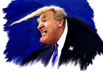 Double Trouble: Trump by Paul Young & Tony Wright
