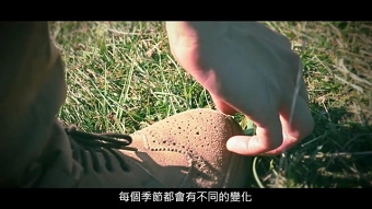 What Am I Designed For? 我為什麼要被設計出來? 【Frank's Story】