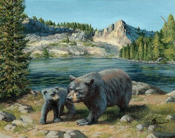 Ostrander Lake
