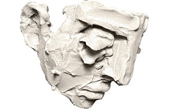 Digital Sculpture Project