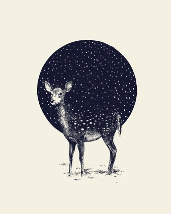 Snow Flake