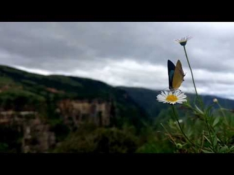 Beauty Of Nature