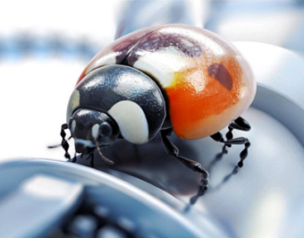 Ladybug Tring Promo