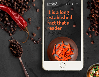 Lakgro - website