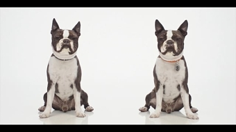 3Bonus_30sec_1080p
