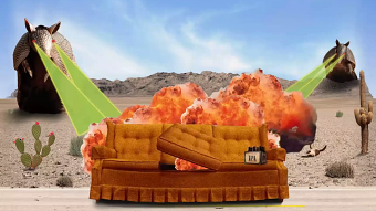 Lagunitas | CouchTrippin'