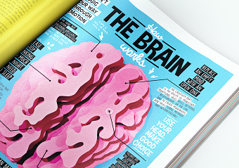 How the brain works? - Infographic