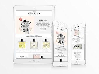 Respontive Email Template