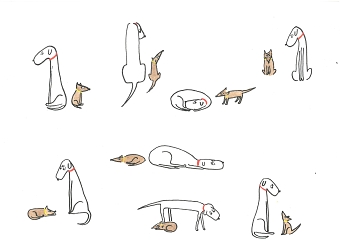 Children's Book -  "Walkies"