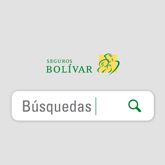 CAMPAÑA BÚSQUEDAS / SEGUROS BOLÍVAR