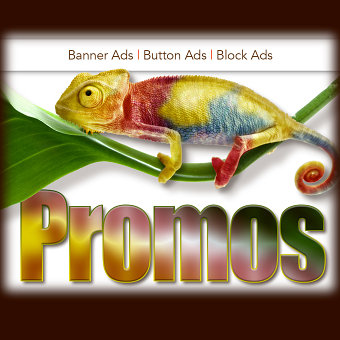 Internet Promotional Ad Design
