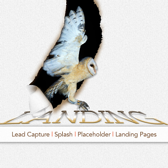 Lead Capture, Splash and Landing Page Design