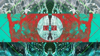 CONCEPTION_BORN_LIFE
