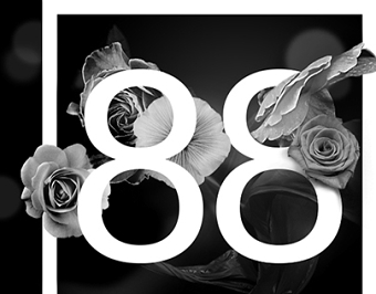 [88] Series