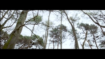 Cinematic Showreel