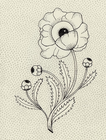 'fleurs d'intérieur'