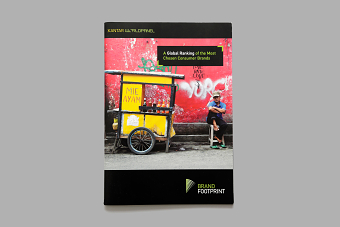 Report writing | The future of e-commerce in FMCG