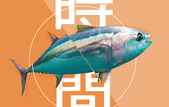 Head Chef campaign proposal.