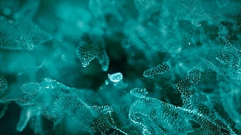 Motion Graphics Showreel