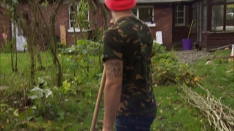 COUNTRY STRIFE: ABZ ON THE FARM