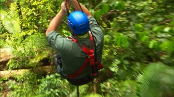 WILD AUSTRALIA WITH RAY MEARS