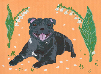 Animal characters and Pet portraits