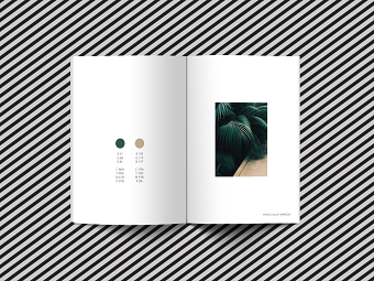 Palettes magazine