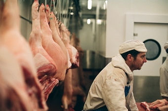 The Mettrick brothers abattoir photojournal