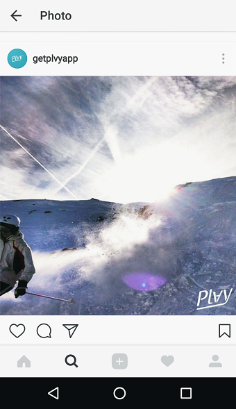 PLVY photographer