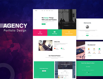 Agency Portfolio Design
