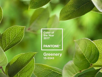 Pantone