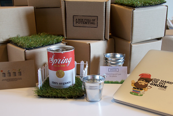 Spring in a Tin