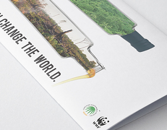 Palm Oil Campaign