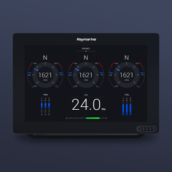Graphical Identity for Raymarine