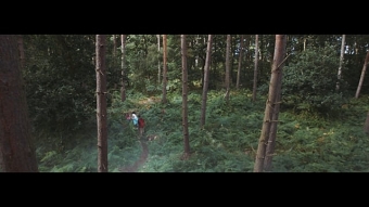 Center Parcs - The Forest is Your Playground