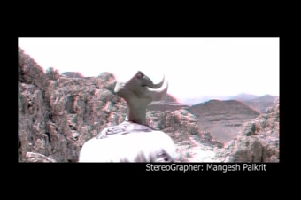 Stereo_DemoReel_Low_v004