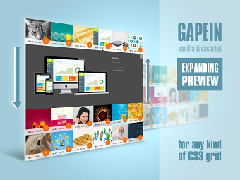 GAPEIN.js
