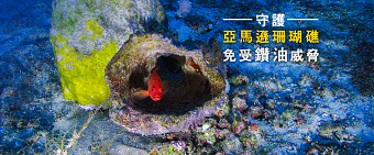 Defend the Amazon Reefs