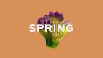 SPRING HAS SPRUNG – MTV International