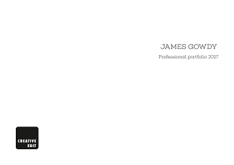 Professional Portfolio 2017