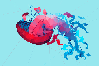 Fish for Future | YCN | Marine Stewardship Council