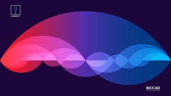 Opening for the conference, product HARMONY